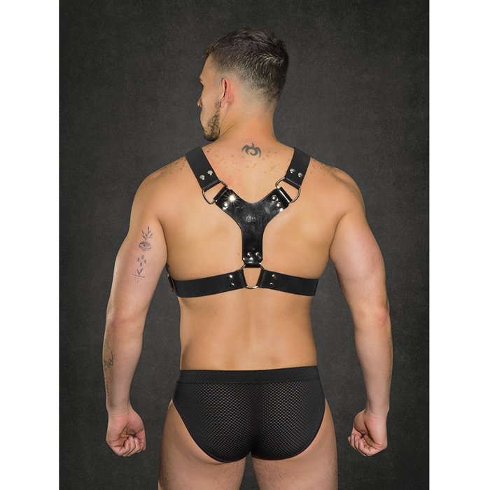 Kinky Dude Pitbull Harness